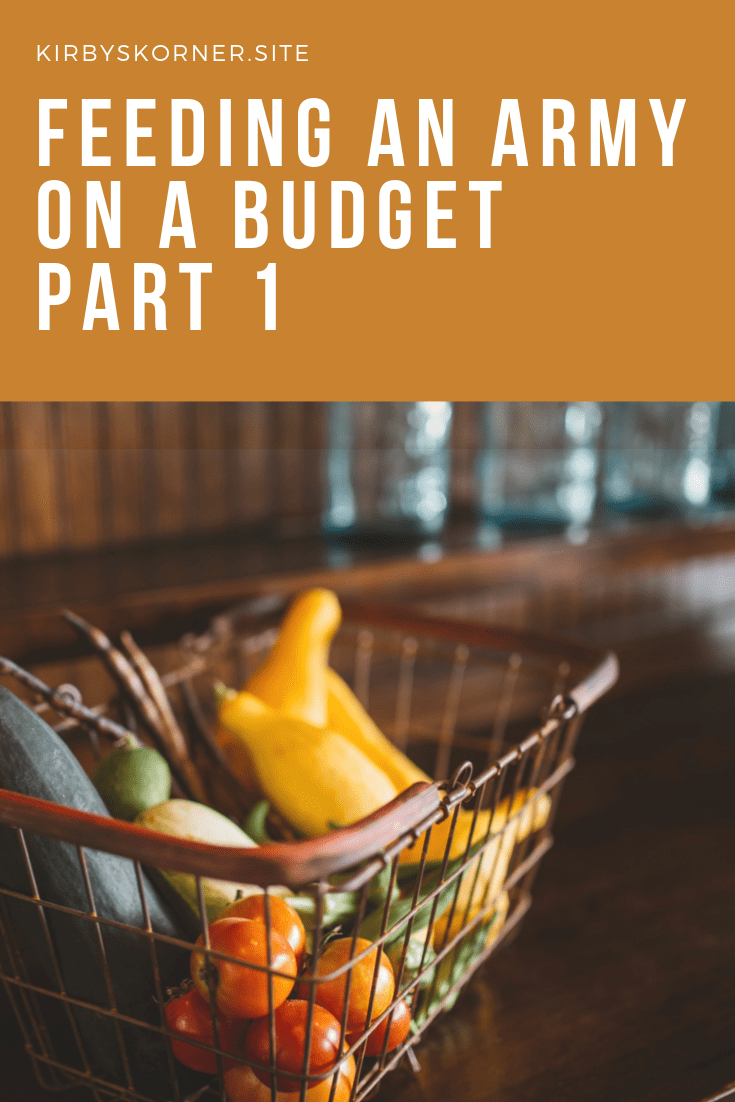 Well, as you may know, I am a mom to 9. I still have 6 at home so there are plenty of mouths to feed. So how do you feed 6 kids without going broke? Is it possible to do it healthy and cheap?