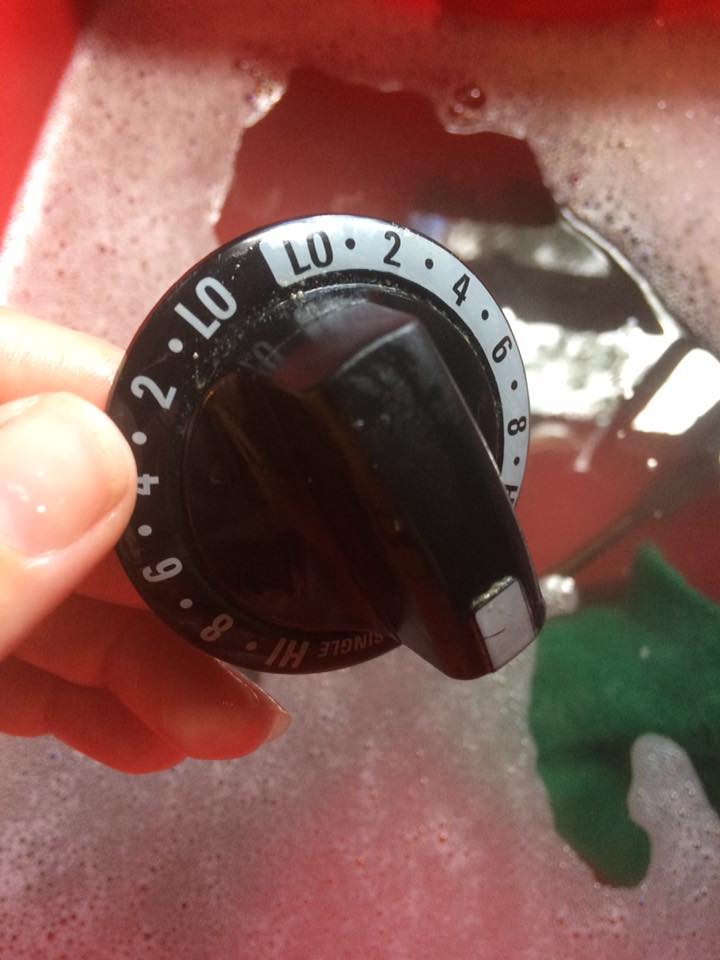 22281790_10214141623678187_2170185629387495895_n