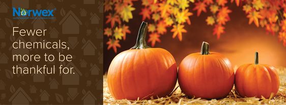 c30502a2b8643374659f2ce45e90ebbf