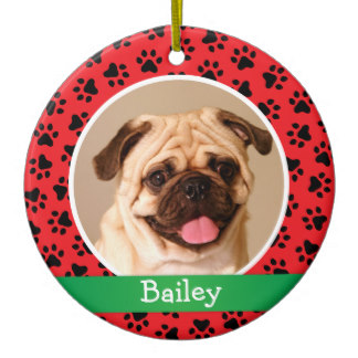 personalized_puppy_dog_pet_photo_ornament-rb4c5885715f54e17a995d66afa0be4e7_x7s2y_8byvr_324.jpg