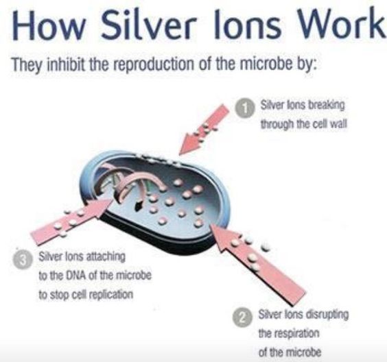 0ecef3d812db7c6d0ae0136afe0ada01