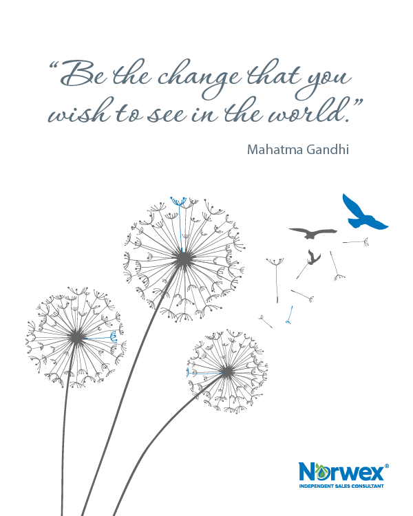 Norwex-Pinterest-Images-US-CDN-27