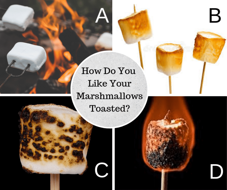 How do you like your marshmallows? Personally, I like mine burnt and smushed between a couple of graham crackers with some chocolate... best eaten on a cool night beside a warm campfire.