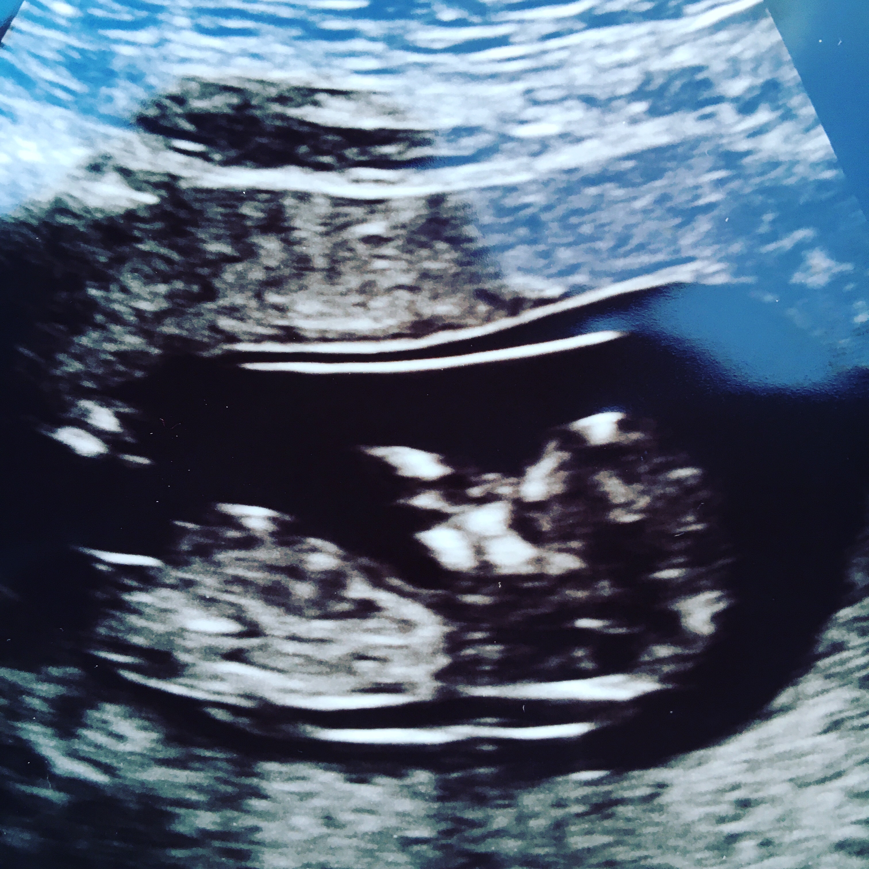 510bf2be-edb6-43fb-971c-6c3dbf10d17f