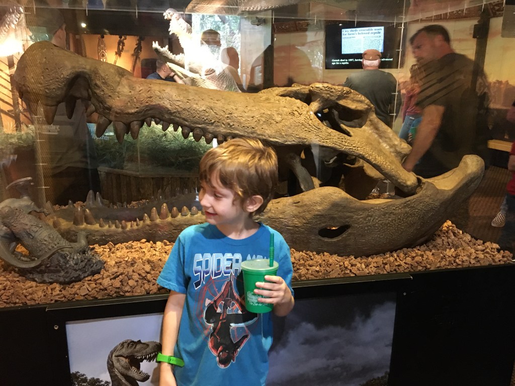 A young boy standing in front of a large crocodile skull exhibit in a museum, holding a green drink. The background features other visitors and additional displays.