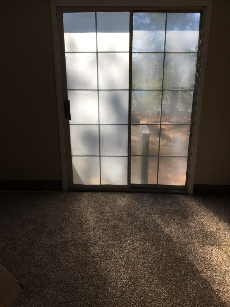 Frosted glass sliding door with a view of an outdoor area, partially illuminated by sunlight, set in a carpeted room.