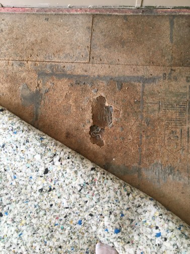 60322727126__aa486ac7-cf35-495e-a2b6-4d8aaa100d47